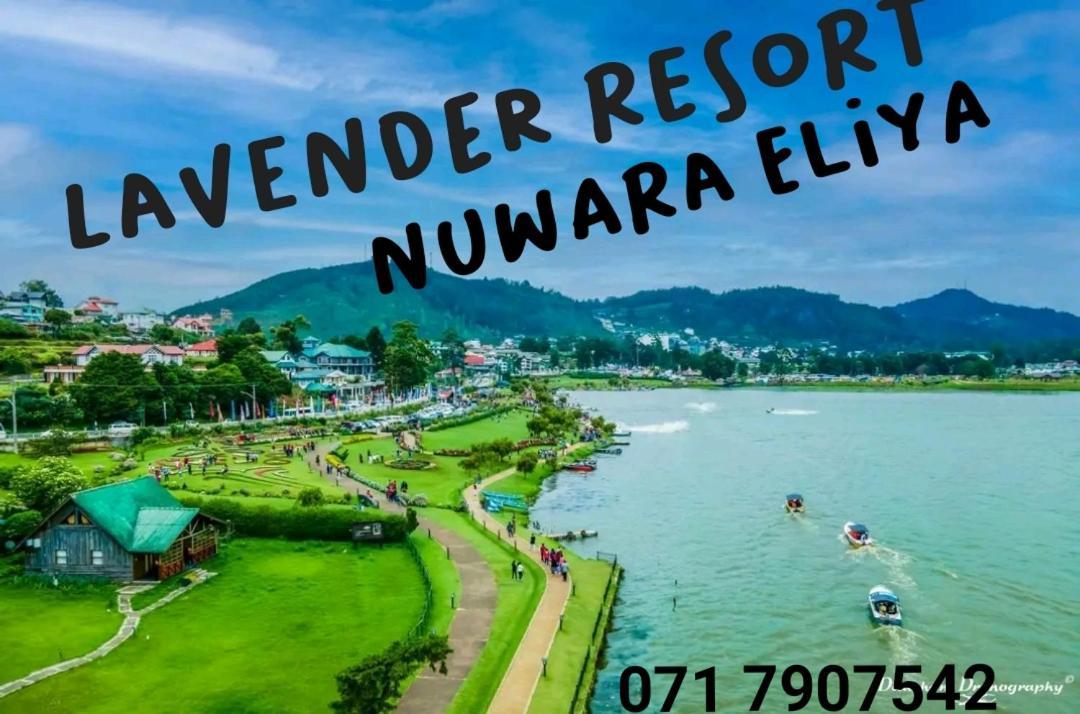Lavender Resort Nuwara Eliya Ngoại thất bức ảnh
